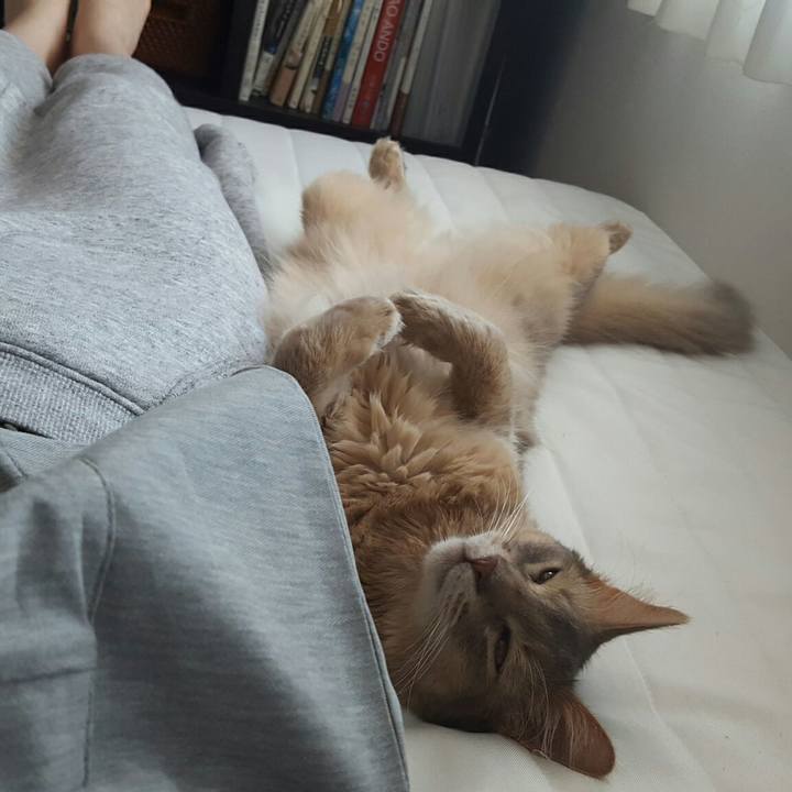 77631b76 e4b6 47cb 9efe 0bee0802c5ec 1530789208426