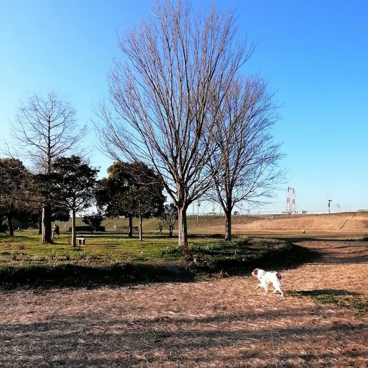 77634a8e d6e8 4be8 abf4 c57f3766b3ce 1613733839301