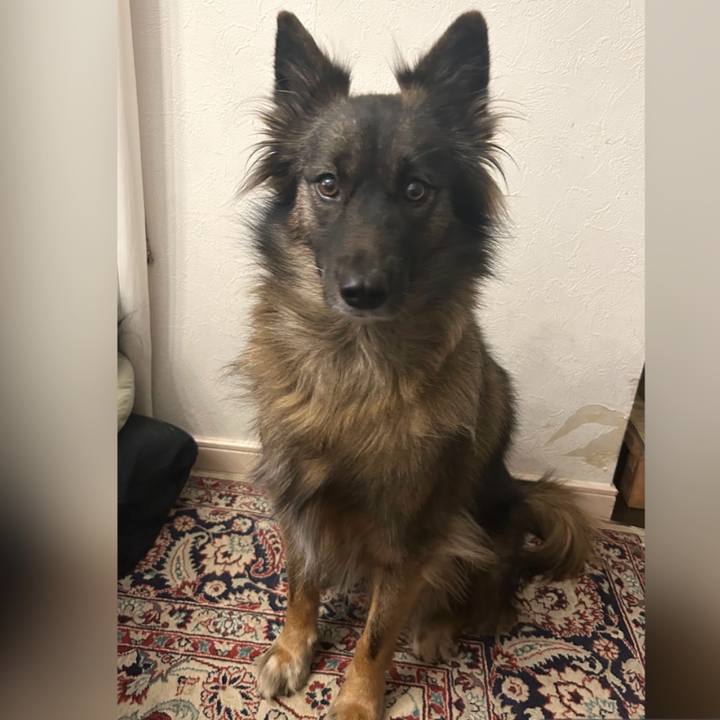 77635e9d eae3 48b6 9561 0d13171bfb57 1758607934968