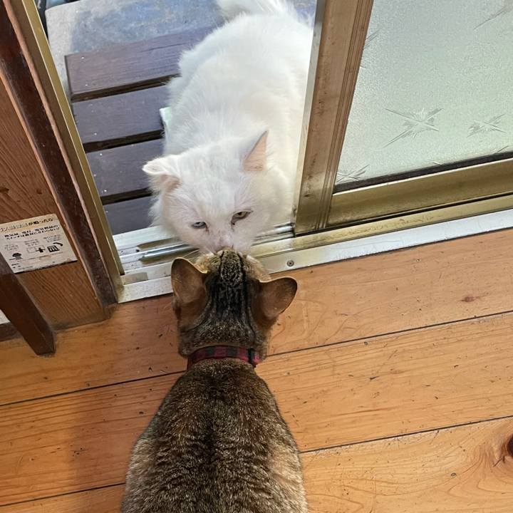 7763629b 5033 43a2 a79b 895d22c1182c 1728801327551