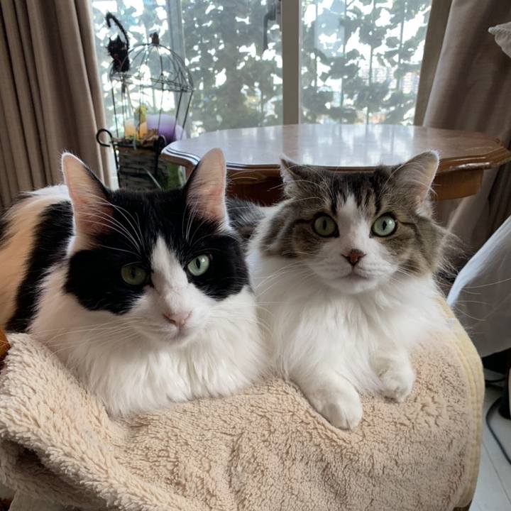 77639076 5e53 4ceb a43c 55381c421a2e 1573107260272