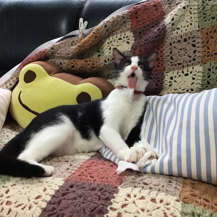 77639dfa 8ecc 4915 9027 645cfd471f8f 1629677211654