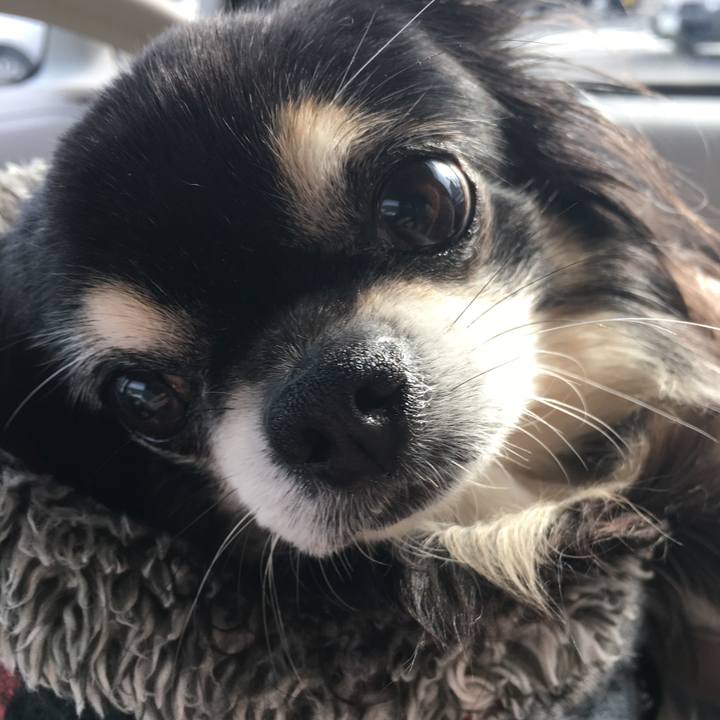 7763a0d5 b186 47f4 9c4e 9313d191eca1 1547960260483