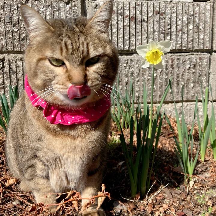 7763b60d b43e 4576 97cd bf7d03a3e6cb 1678930543981