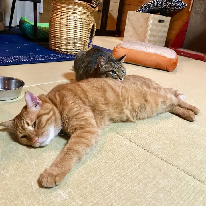 7763bd4d 6a94 43b4 b8d2 1c4285d16a40 1534159982126