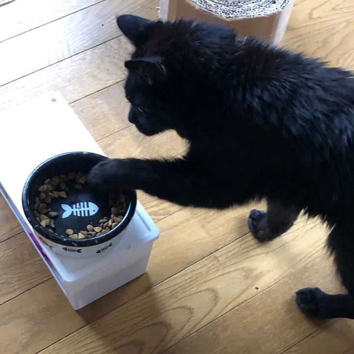 7763fbba bd76 4705 a96d e4312af71e79 1592512376296