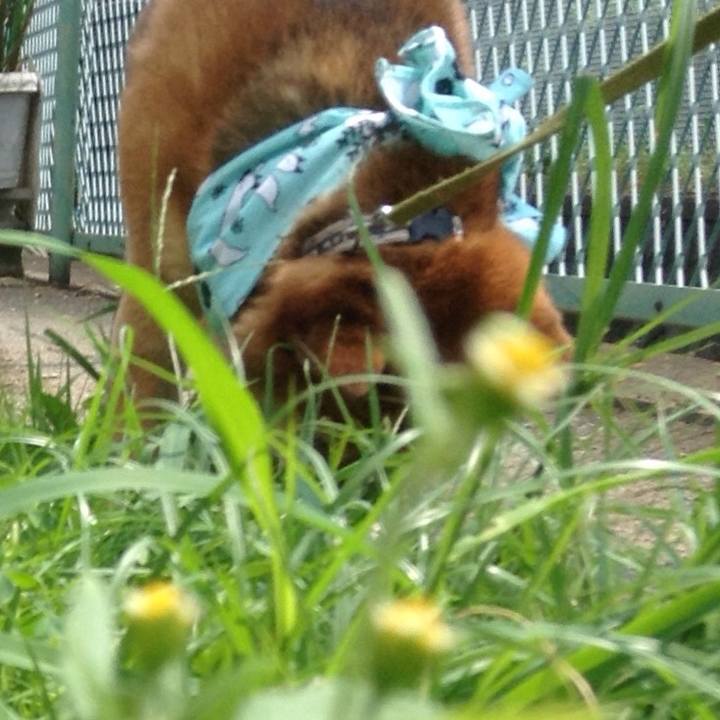 77640afd 07cd 4f74 b2d6 f3bf8d62270e 1564626588167