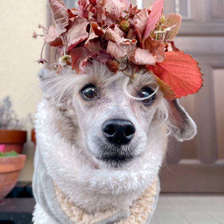 77643bbf dbaa 43a2 9b0e 91c2d2108918 1769758657954