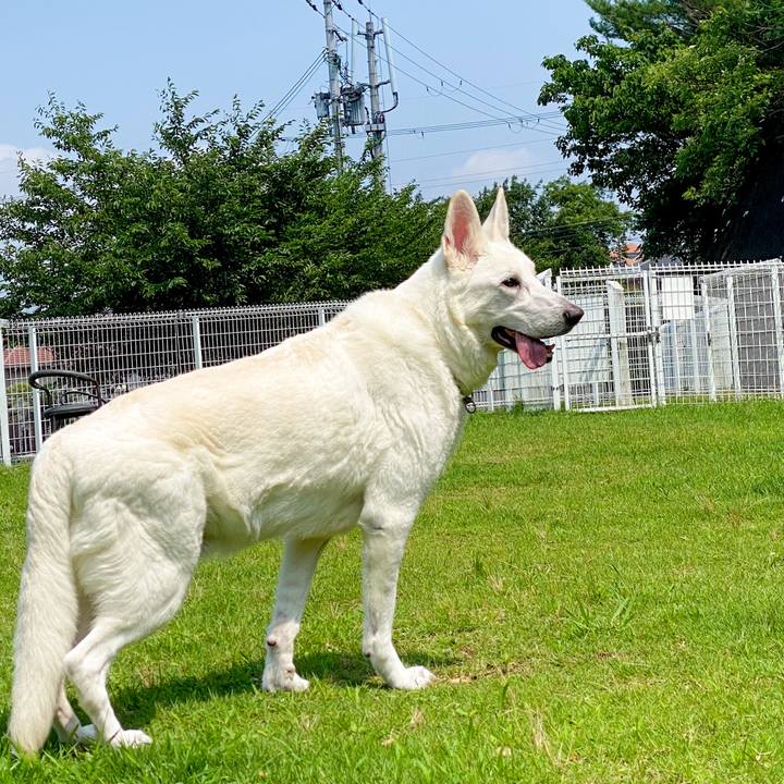 77643e8f 19da 4298 abeb bca35881176c 1705543199984