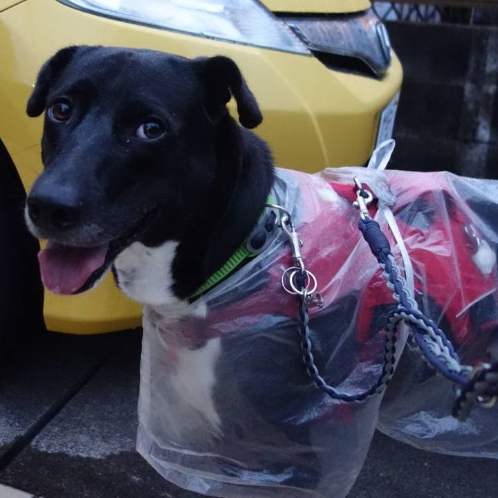 77646a64 899c 46d7 968f 8003cf55de0b 1625056425131