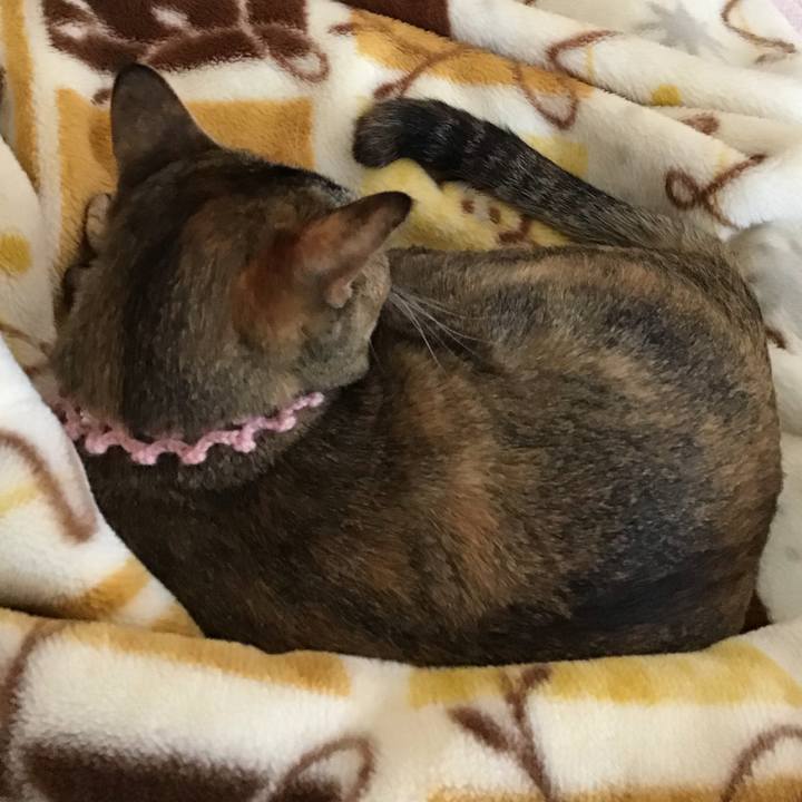 77647d6e 0eb0 4983 ae67 c430e1a896ce 1590134149815