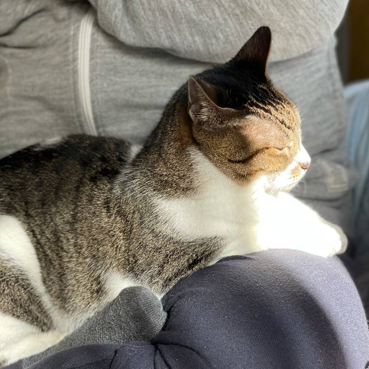 77649dbc 50a5 4b5b 9605 da644359c0ba 1606264873262