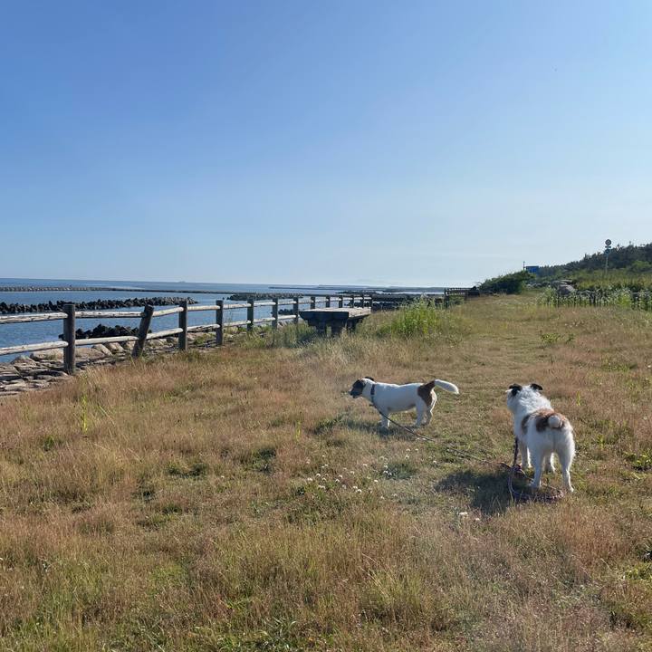 7764ae9d 4686 44fd 91b4 015d5ed6669f 1749775638256