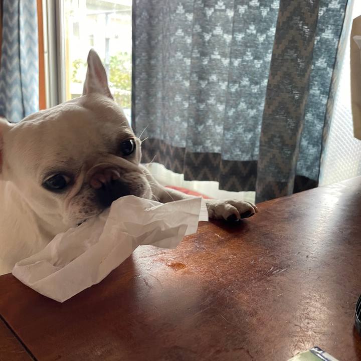 7764eb25 0118 4b6b 84a1 8288141e9859 1756163034513