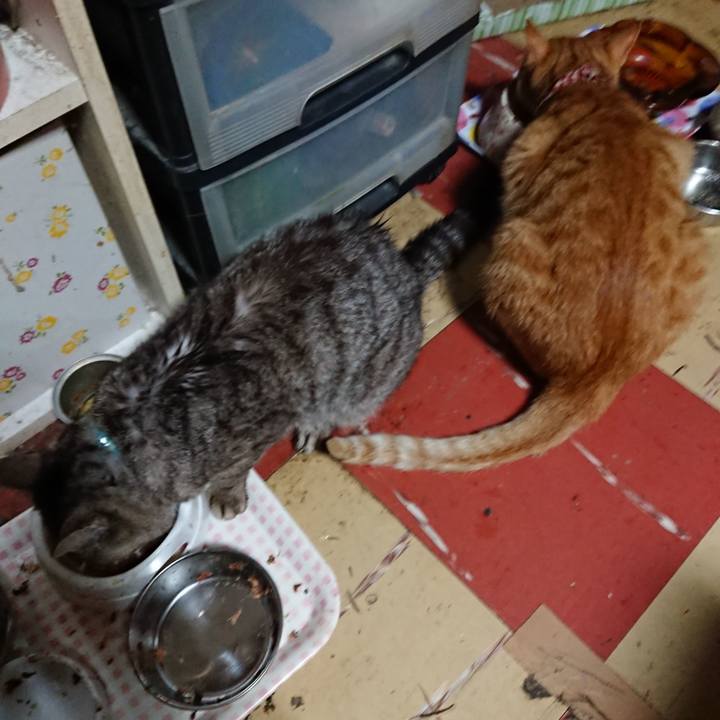 77650148 2523 4d82 8107 3b6c439f47e9 1562184465063