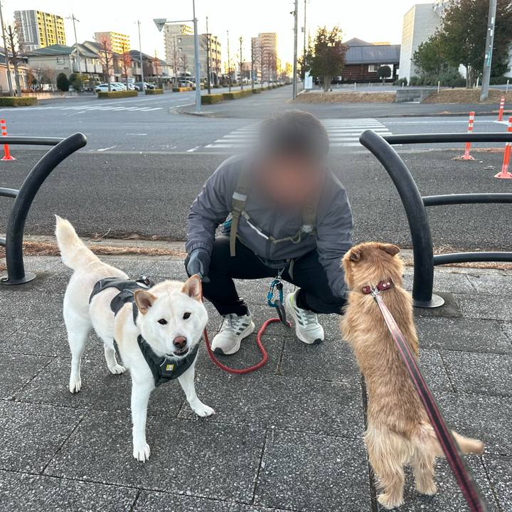 77650af7 4cab 4b40 bc72 d74c67dfa0e5 1739251139507