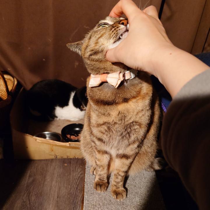 77651c5c 7239 40c7 bcb6 f0fa84a6a864 1773146918965