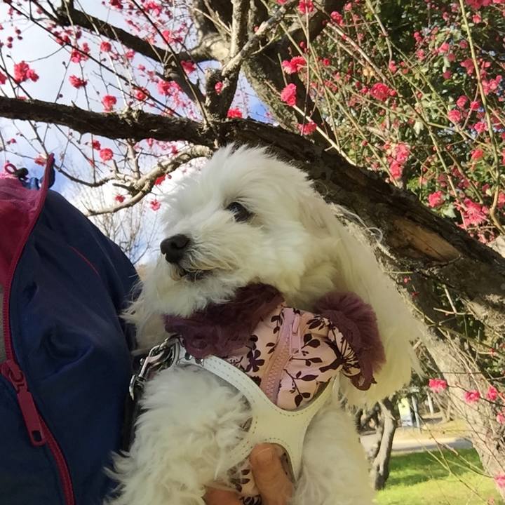 77654344 2829 42c6 ab28 4fade69d313f 1549007785556