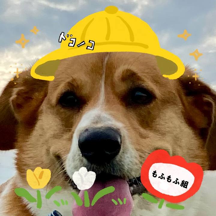 77654e91 4c72 4720 9bda d79311418f4c 1712293869957