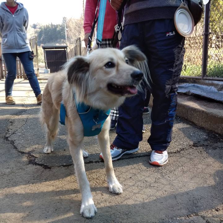 77660898 784a 474a a82b df664efb1407 1553421330768