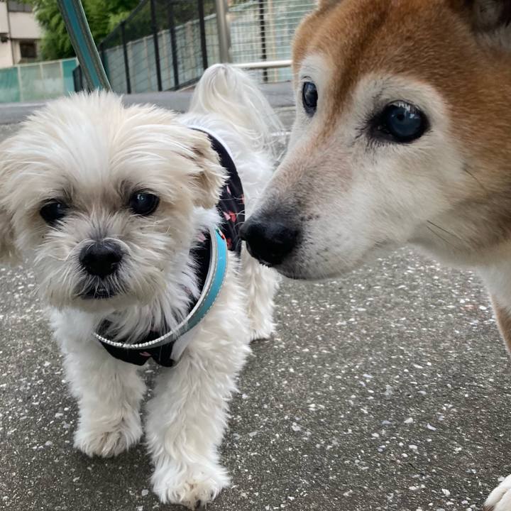 7766279f 0ebb 4e13 b735 ba8eca537416 1759739897246