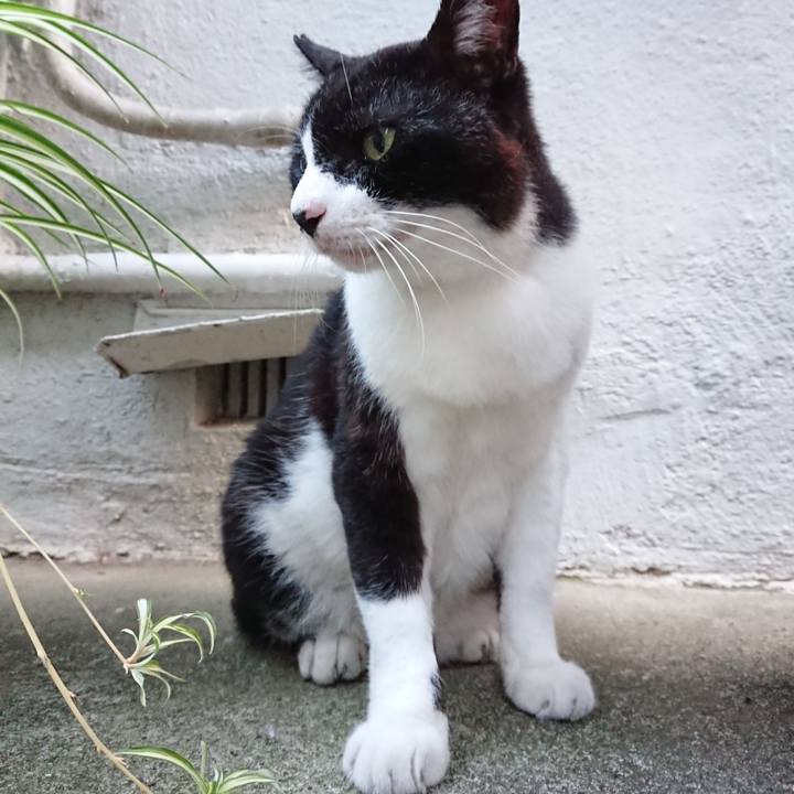 77663f04 c1af 4516 9e92 9ae2c35ba618 1692449671128