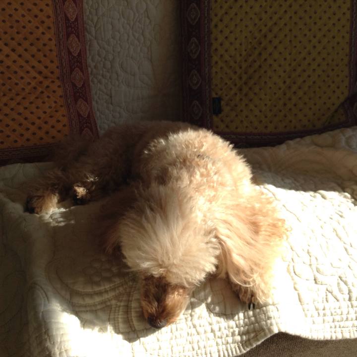 77663f16 ec22 428a 8ecc 3e29abc51866 1517018110971