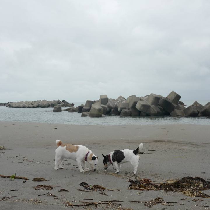 77666db1 b784 4462 9bb9 b758d8c02754 1561954524782