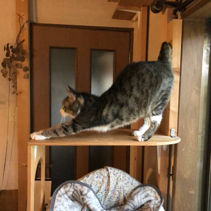 7766c3ba 9545 4134 a4da 4cc78f48f741 1669068148350