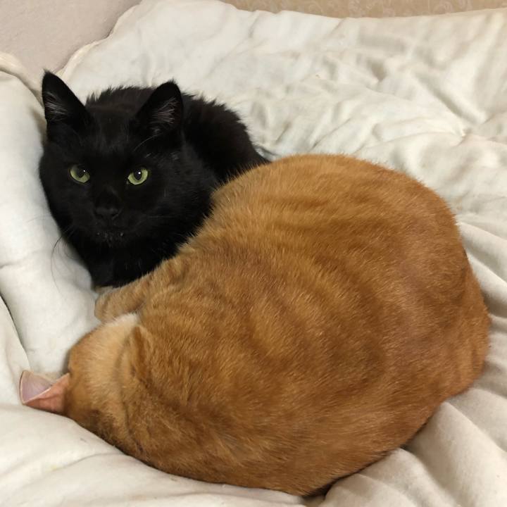 776709ab fe48 4678 8516 95511c6e4346 1633619125862