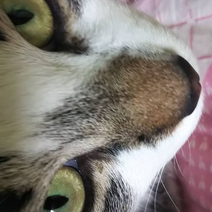 77671b03 1ea1 475a a4f2 7a66769bccf5 1611052835964