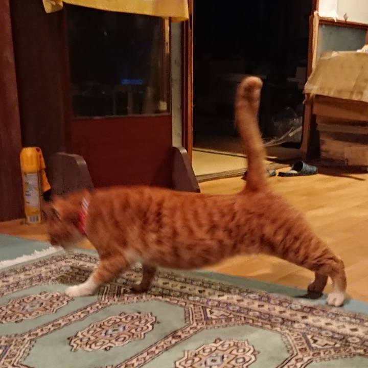 77675b2b 911e 4b5f 8ab0 d3feaf3497f6 1576486559615