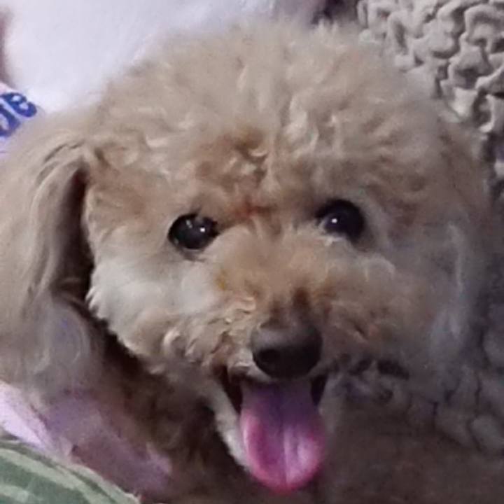 776770ae f571 430c b6e4 cededc8b44f2 1591441708549