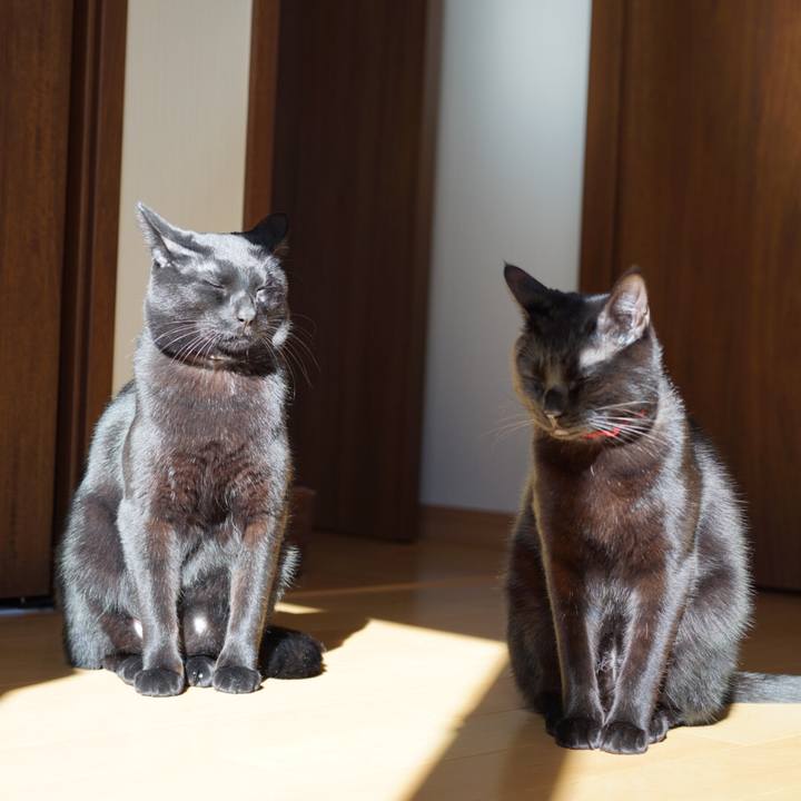 77679f28 2a9a 4d2b aac4 138cba1c8b6b 1548311122826