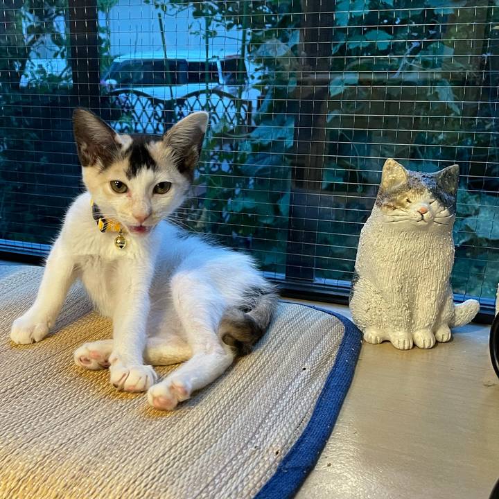 7767b3d9 b72e 4828 bd5b f089df8e083f 1658396990972