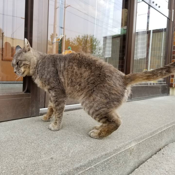 7767b73a 060f 4e19 8d1c c5166528158b 1528381934359