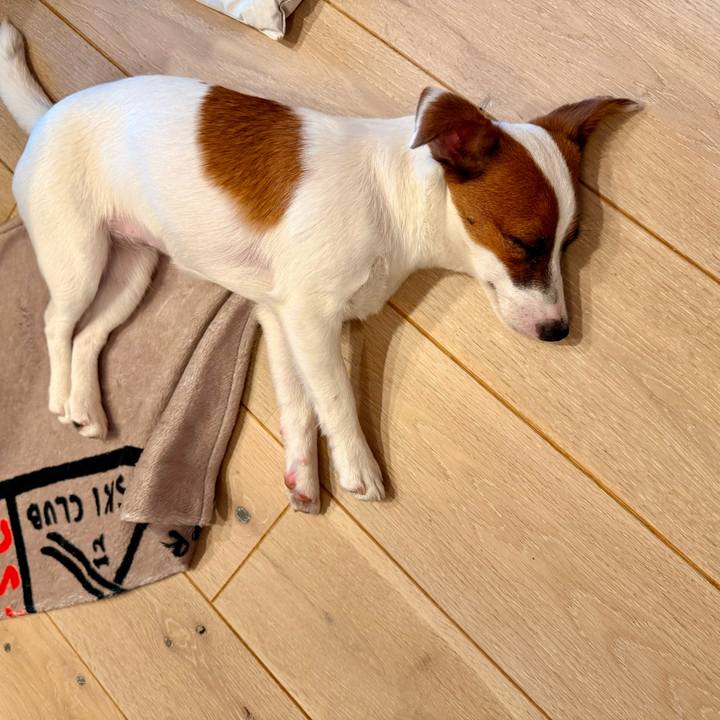 7767b8ca b6eb 4107 86ce a301a6889c57 1751187950689