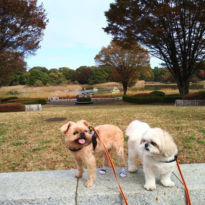 7767c0ae 01ef 4b24 9316 ced3332cce27 1637304358972