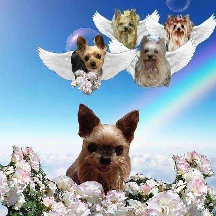 7767cd5f 709e 4cbf b255 174a53309aab 1731716234537