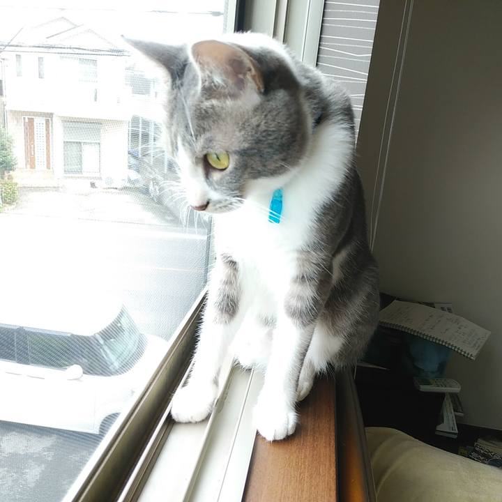 7767e9b5 bf4d 4776 8997 7c45815ec2bf 1595549682113