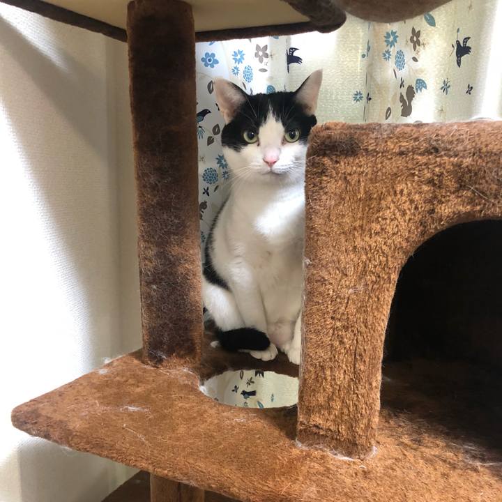 7767f660 df61 43a9 9a5a 86292eaaf58a 1555127054619