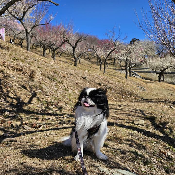 7767f966 4751 4365 bc7f 0934d56c8ae4 1708075461229