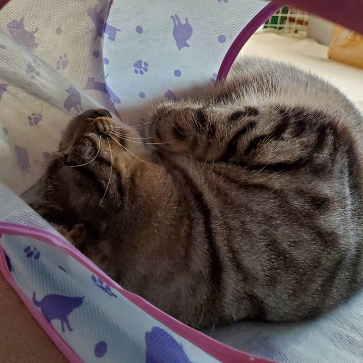 77681965 a781 44c3 a191 eed08e65bfec 1704381883558