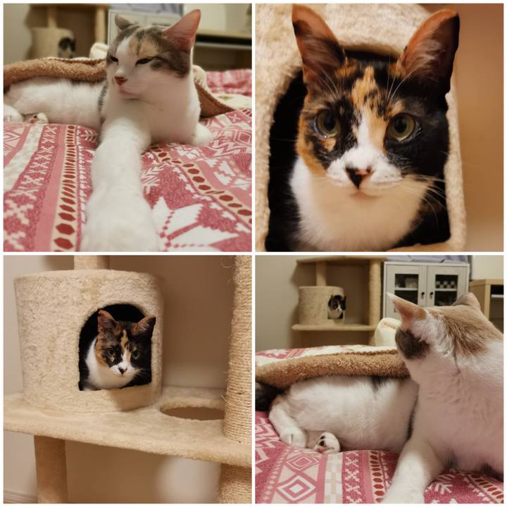 776840fc 9f4c 4540 b027 21448f9deaaa 1619408771463