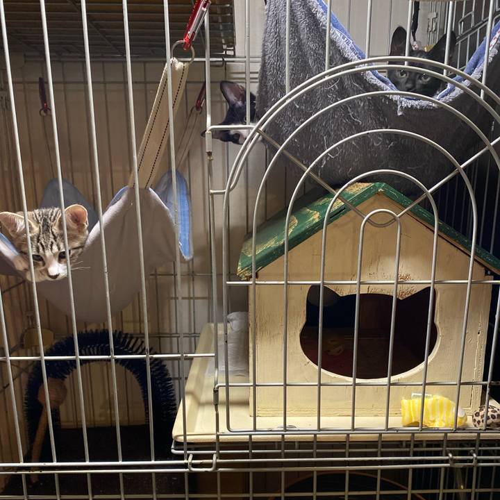 776887c2 f86c 421e acce 964d92de78a6 1626869187934