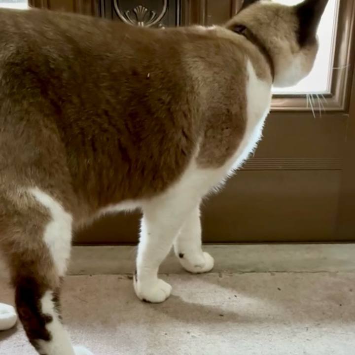 77689f44 1354 4aae b132 3cd672a12b02 1749952258896