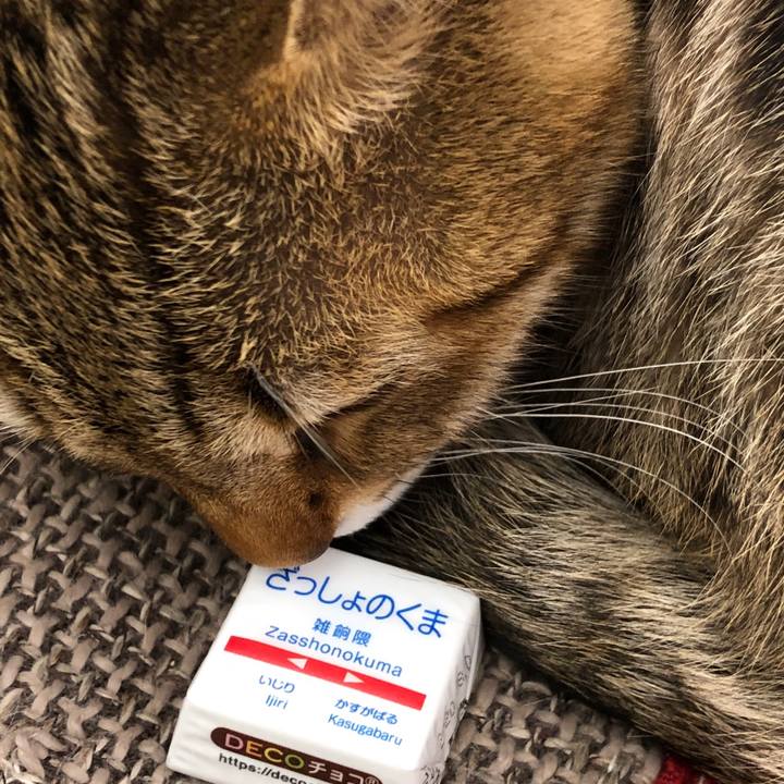 7768a9e0 363c 4aff a822 7e2eba63e11c 1581648572693