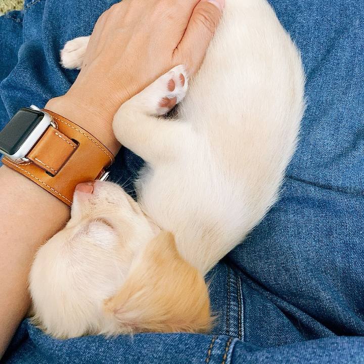 7768b104 7b57 429b a037 4d8bbb3fdb83 1591343661657