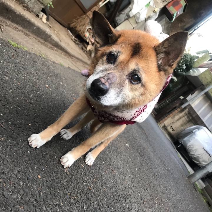 7768c192 2038 429d 88b3 0f73e8f7fa0e 1550095709883