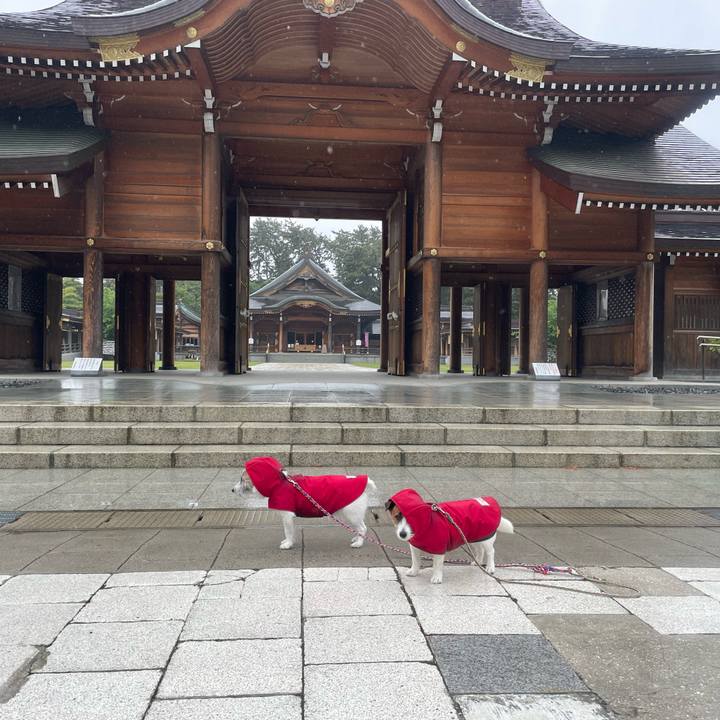 7768cd4a 01b7 400d a177 62aafc26ef3c 1747006653823